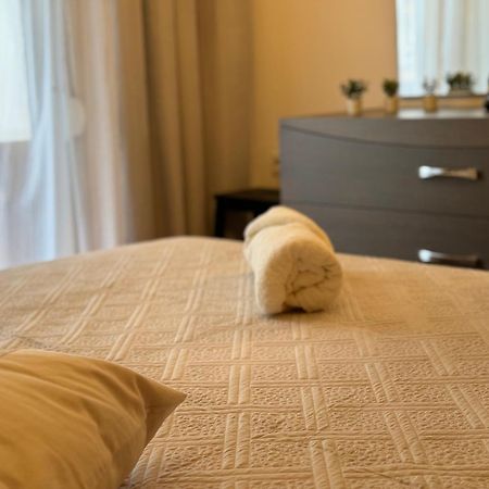Panorama Elegant Apartment アレクサンドルポリス エクステリア 写真